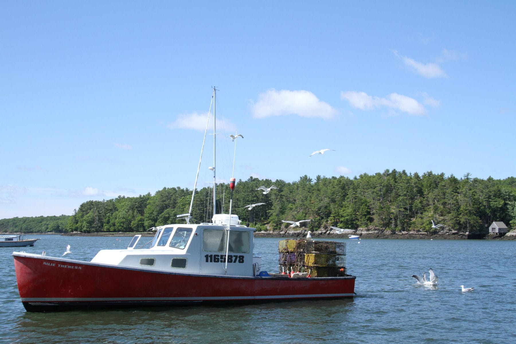 Guide To The Best Lobster Boat Tours In Maine