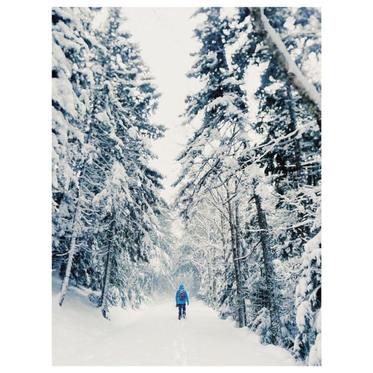 Who Needs Summer? These Maine Towns Are Winter Perfection