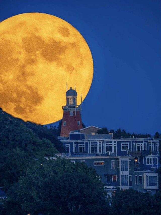 cropped-Portland-Observatory-Portland-Maine-@northernpointphotography.png