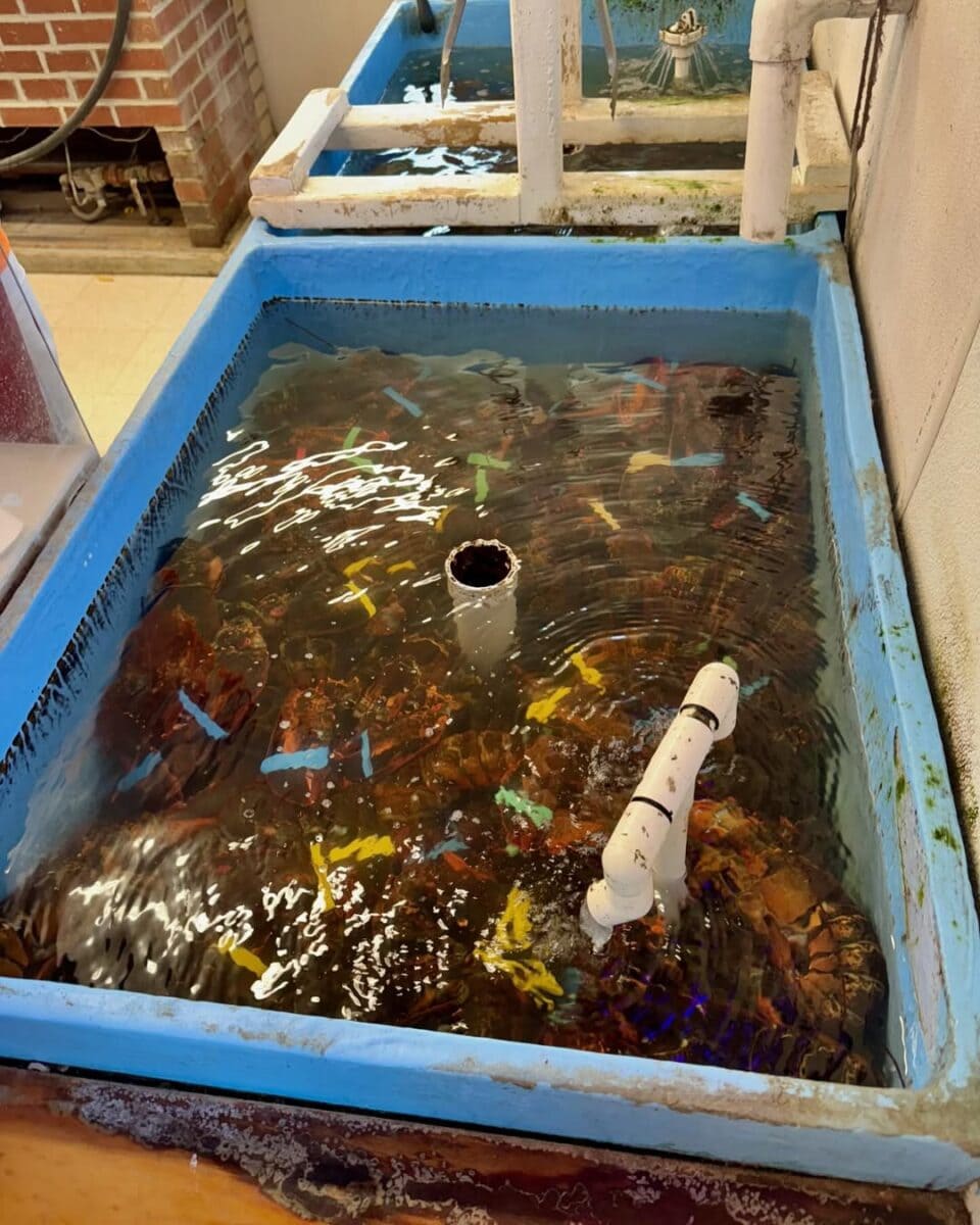 The Lobster Shack at Two