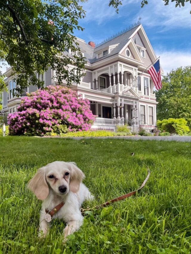 5 Best Things To Do In Berwick Maine