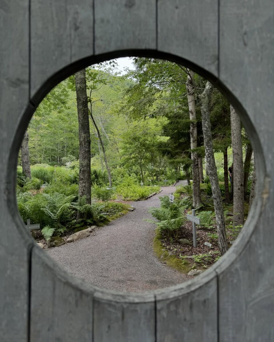7 BEST Things to Do in the Wild Gardens of Acadia This Year 5 Wild Gardens of Acadia-pao.furan