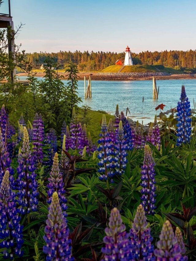 5 BEST Spring Things To Do In Maine