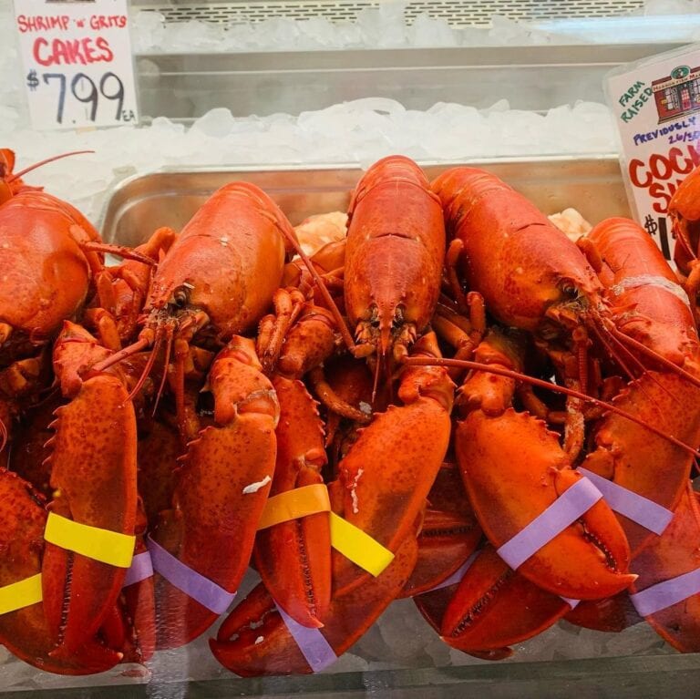 Free Range Fish & Lobster Commercial Street Portland Me ULTIMATE Guide To Maine Lobster