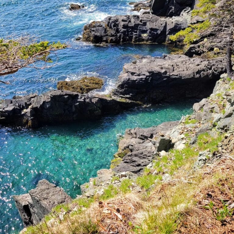 The ULTIMATE Guide To Visiting Lubec Maine In 2024