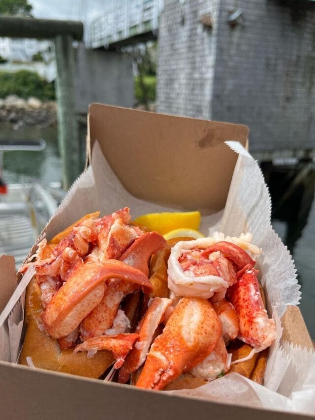 5 BEST Lobster Roll Restaurants in Southern Maine