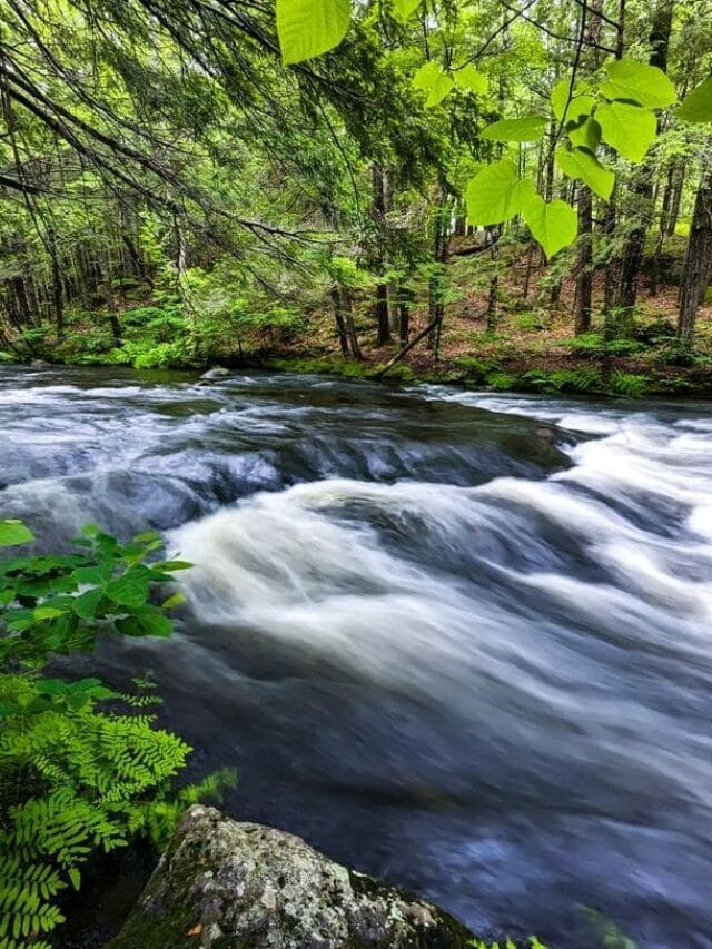 5 BEST Things To Do In Sanford Maine