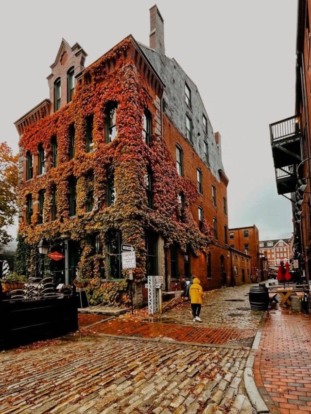 Portland-fall