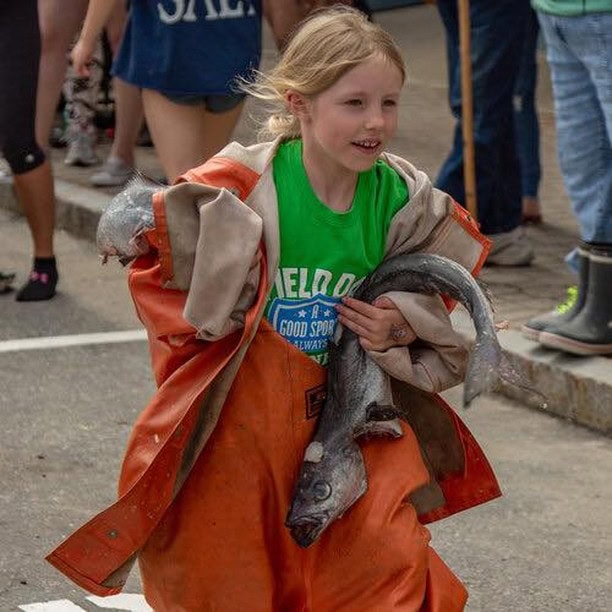 Windjammer Days Cod Race-Boothbay Harbor