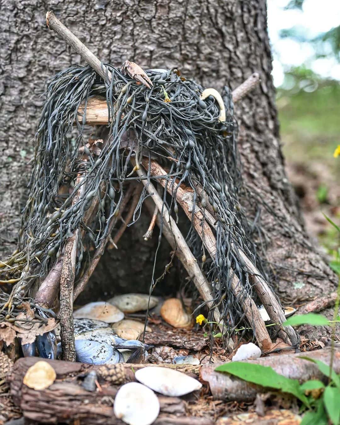 11 Hidden Gems In Maine To Visit In 2026