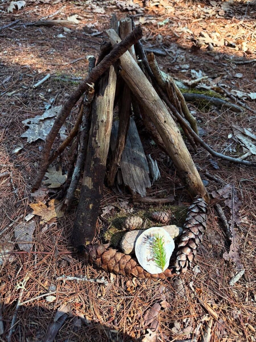 Mackworth Island