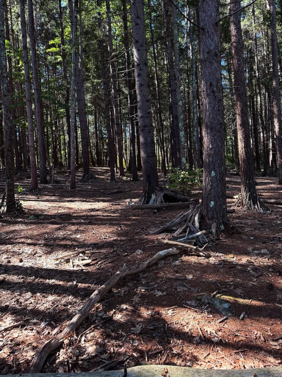 Mackworth Island