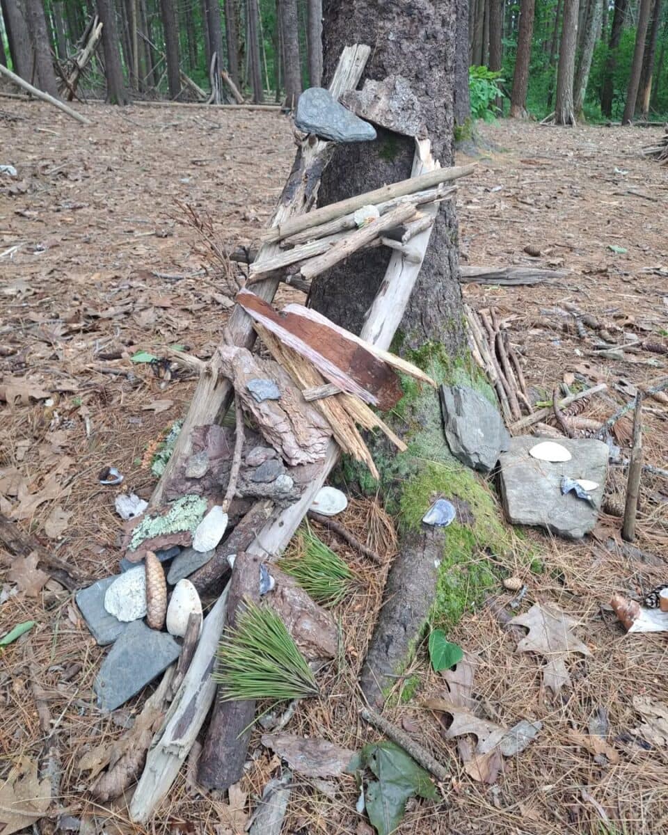 Mackworth Island