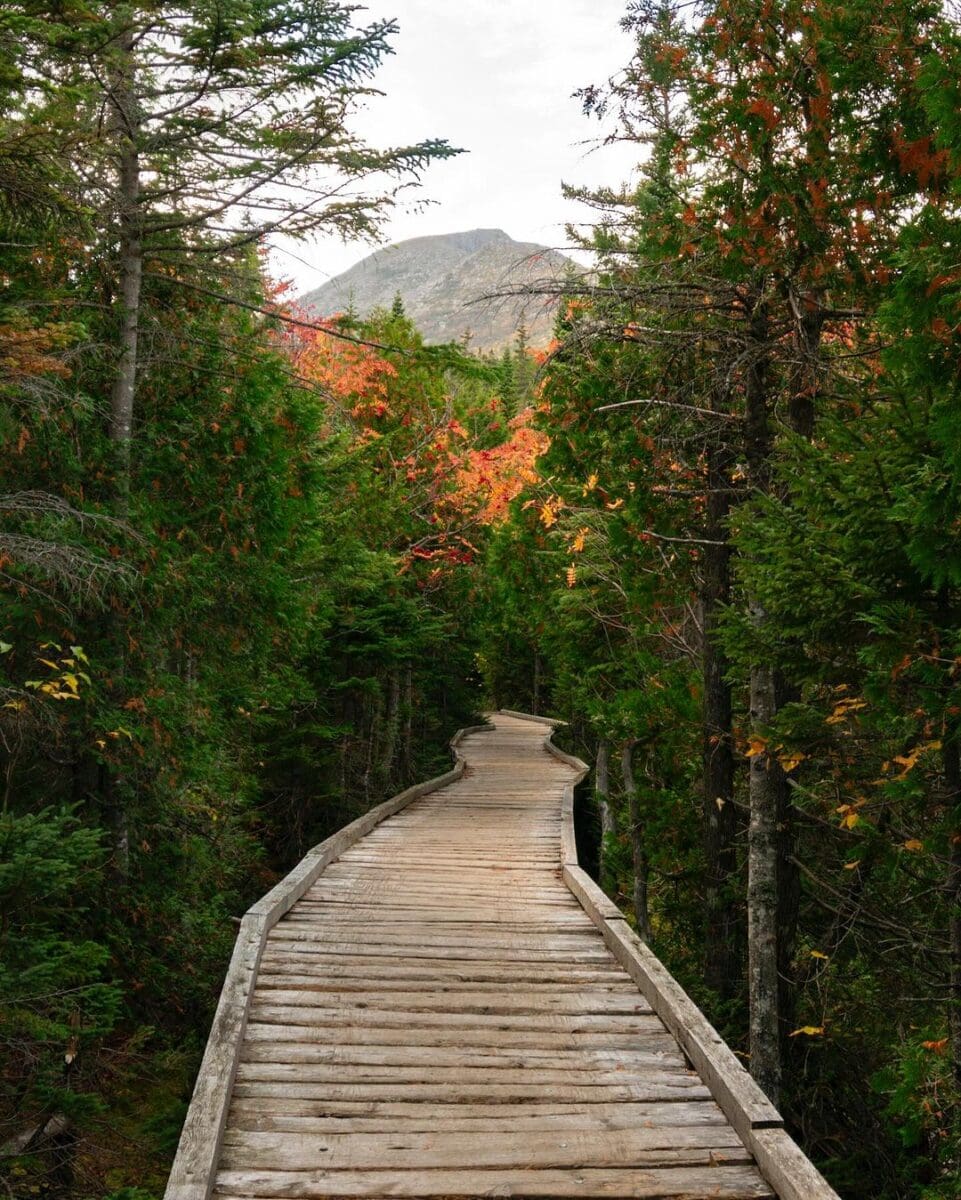 Come for Acadia, Stay for Maine’s Incredible State Parks 8 fall hiking at Baxter State Park