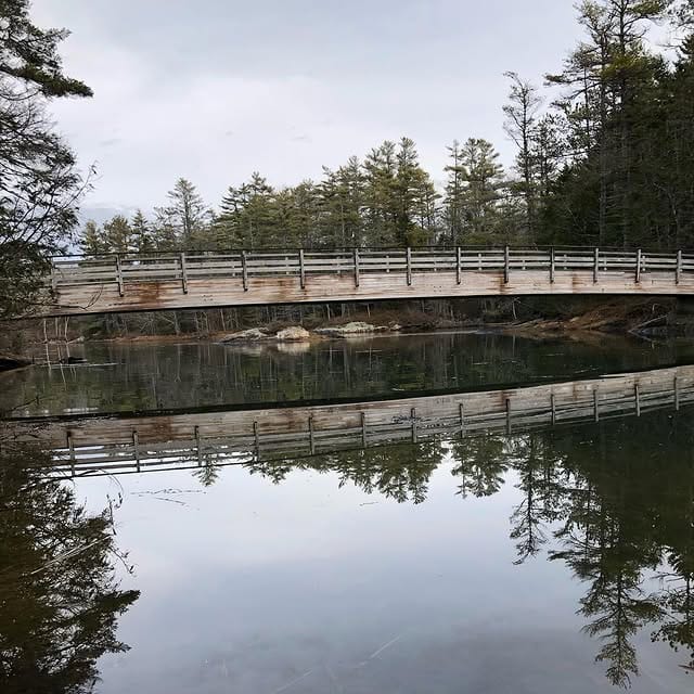 Boothbay Region Land Trust - Ovens Mouth Preserve