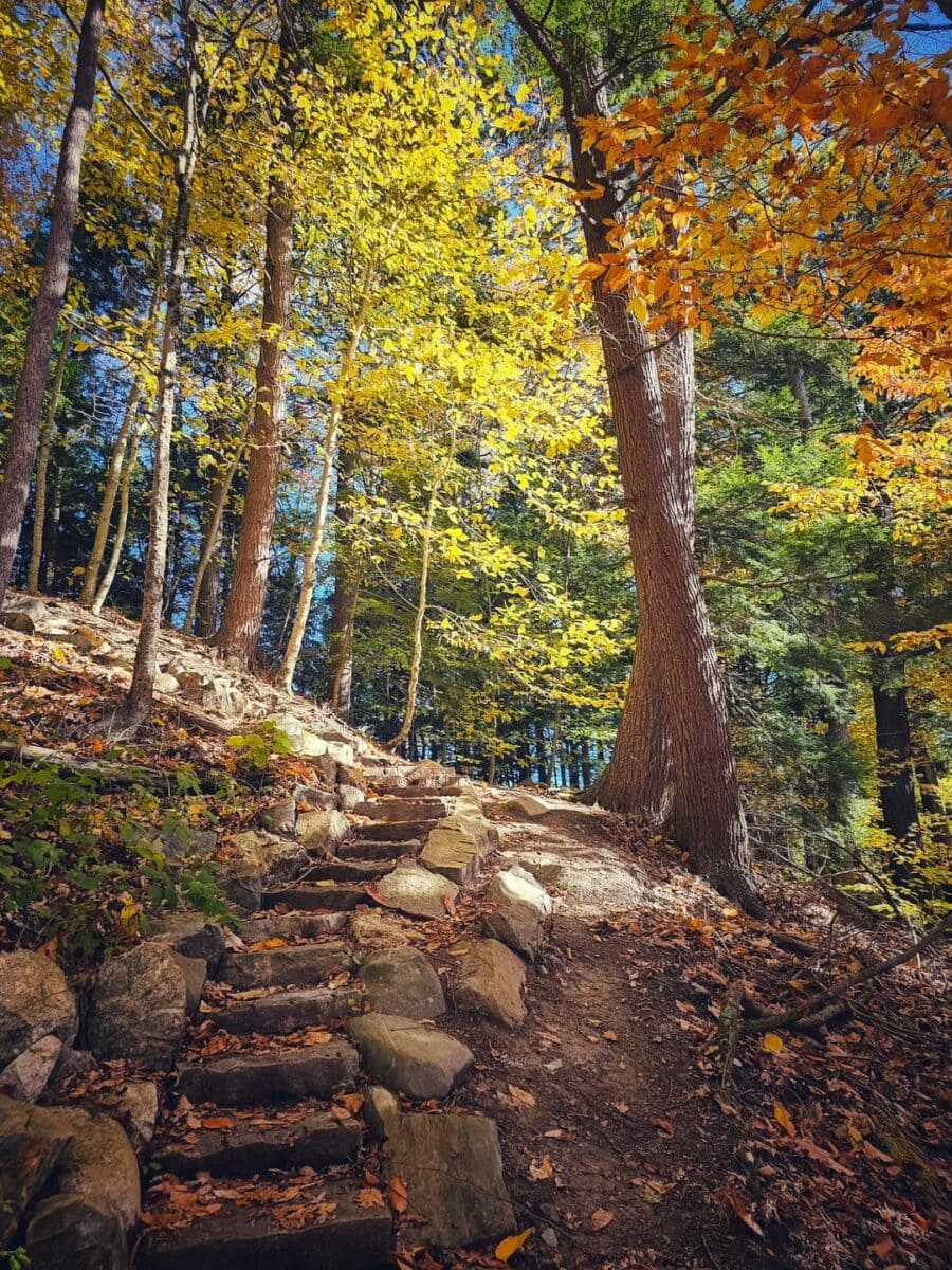 Hidden Gems & Popular Favorites: Our Go-To State Parks in Maine for Outdoor Adventures 9 Vaughan Woods