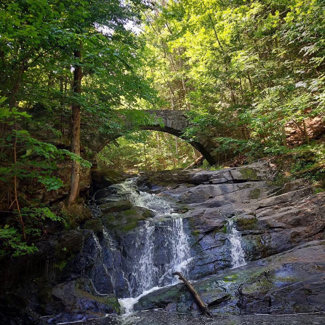 Hidden Gems & Popular Favorites: Our Go-To State Parks in Maine for Outdoor Adventures 11 Vaughan Woods
