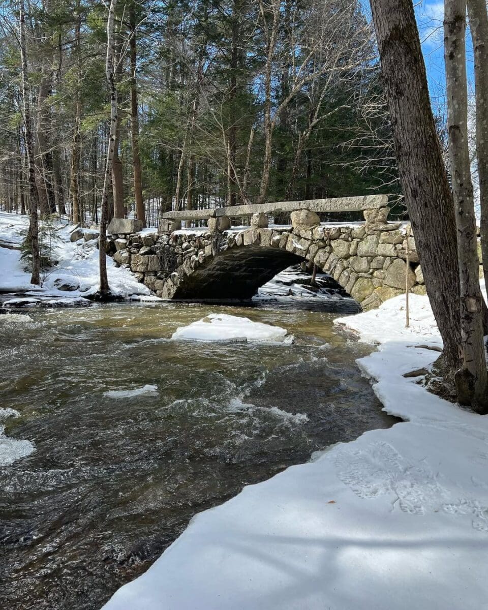 Hidden Gems & Popular Favorites: Our Go-To State Parks in Maine for Outdoor Adventures 8 Vaughan Woods