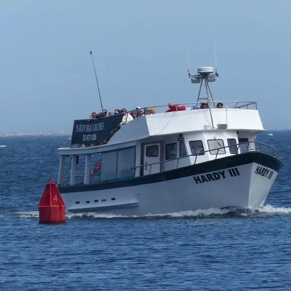 Hardy Boat Cruises