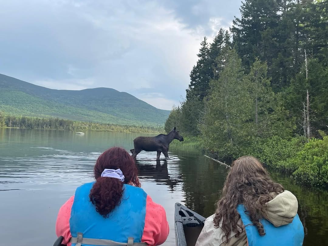 Northwoods Outfitters 