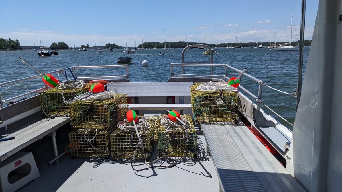 Seacoast Tours of Freeport