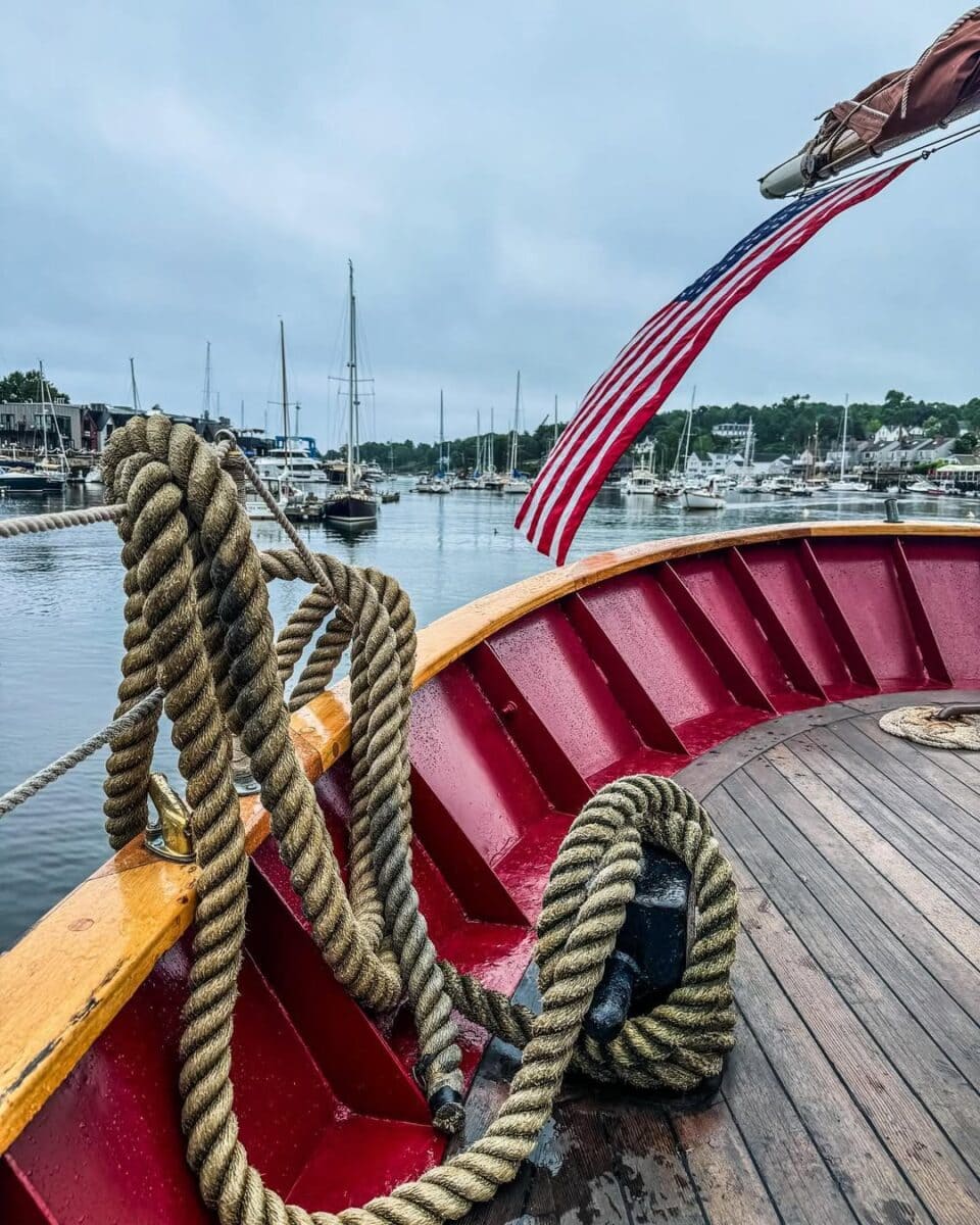 Windjammer Angelique-Camden
