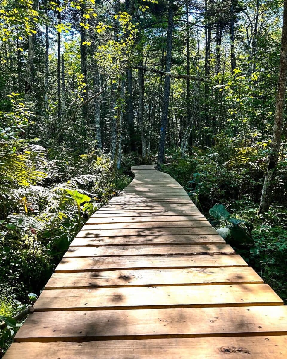 Travel + Discover Rockland: Maine Vacation Guide 7 Jack Baker Woods Trail-Rockland
