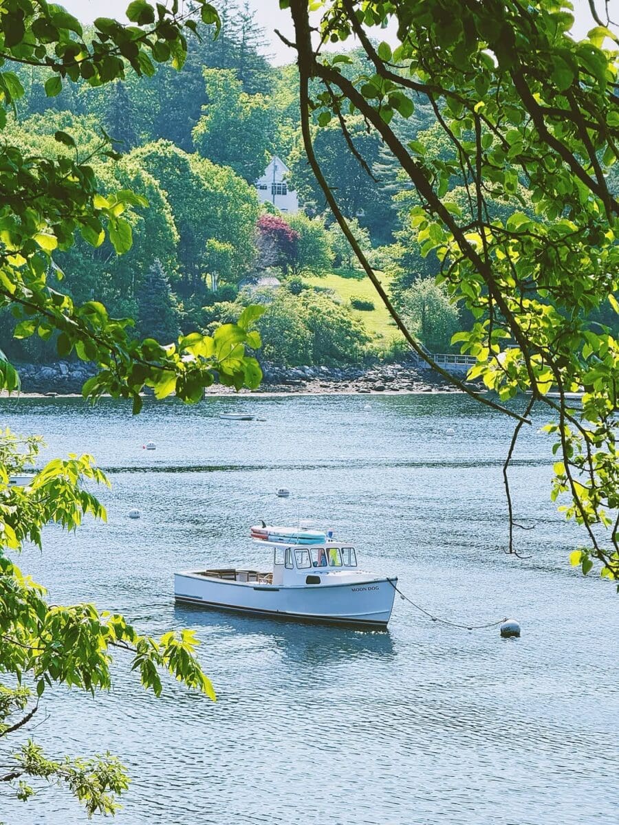 Travel + Discover Rockport: Maine Vacation Guide 14 Moondog Excursions-Rockport