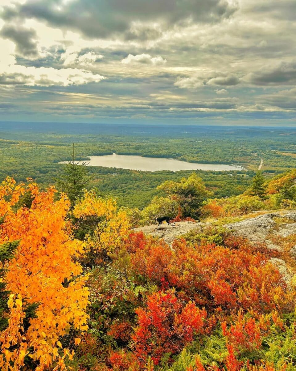 Travel + Discover Rockport: Maine Vacation Guide 6 Ragged Mountain Preserve-Rockport