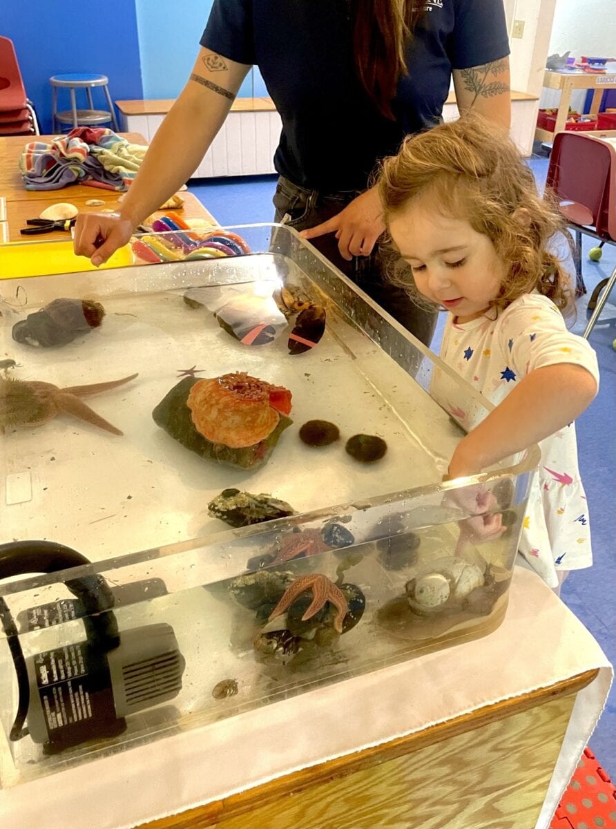 Travel + Discover Rockland: Maine Vacation Guide 13 The Coastal Children's Museum