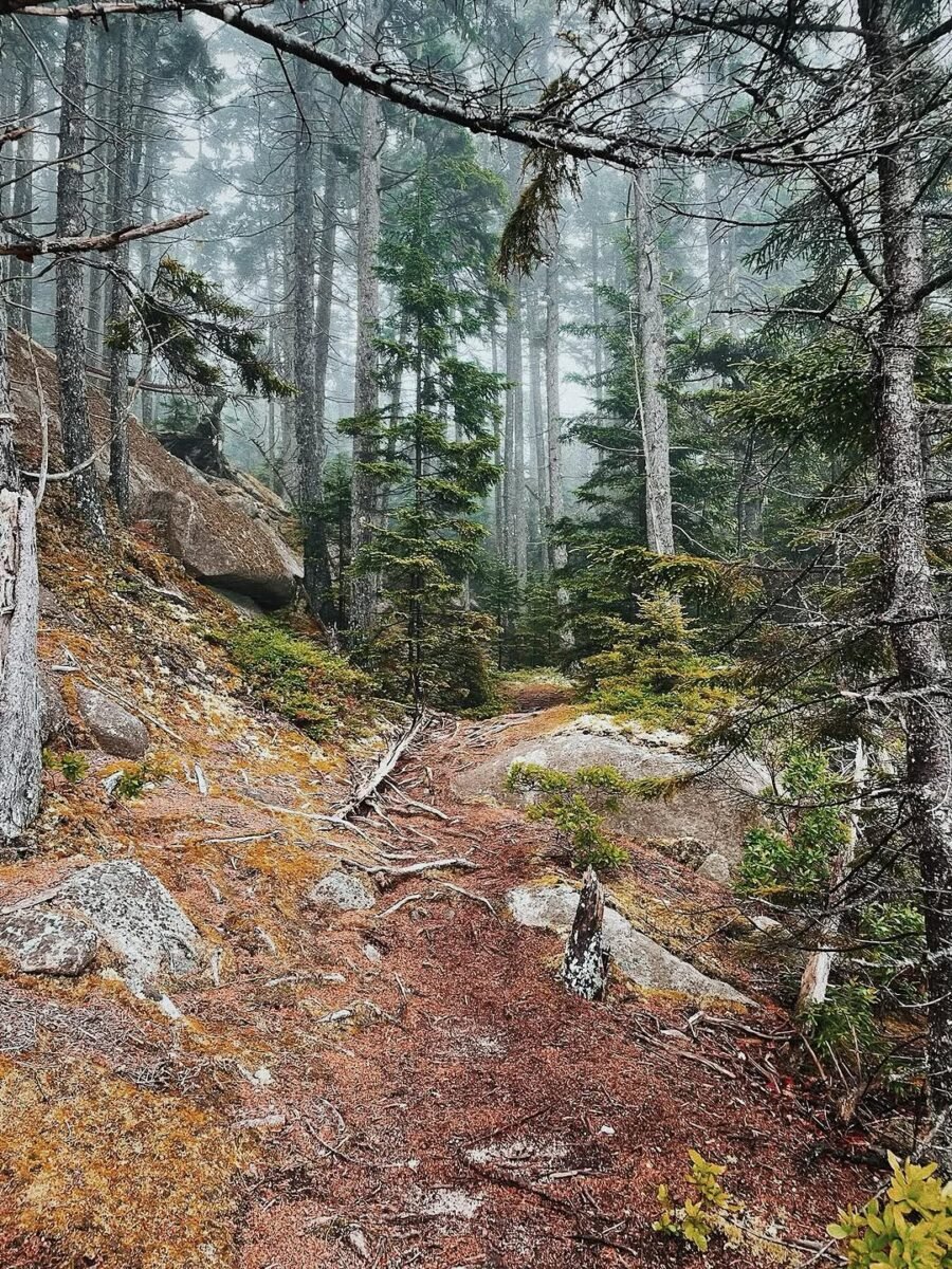 Barred Island Preserve
