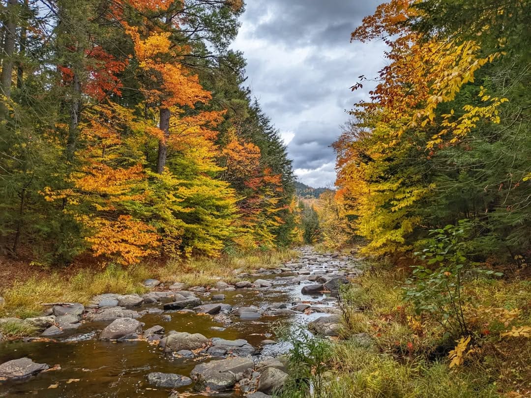Little Wilson Falls