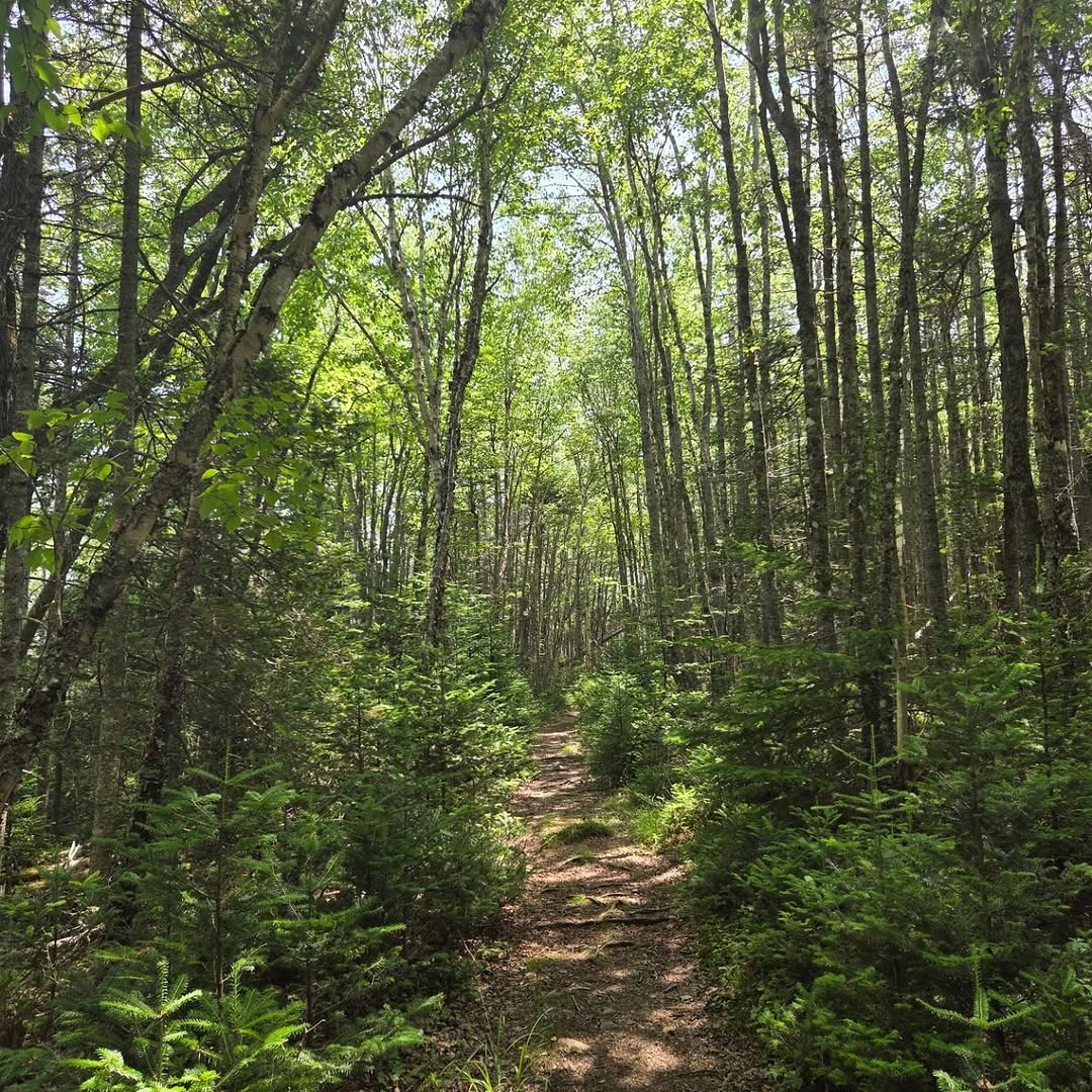 Petite Manan National Wildlife Refuge