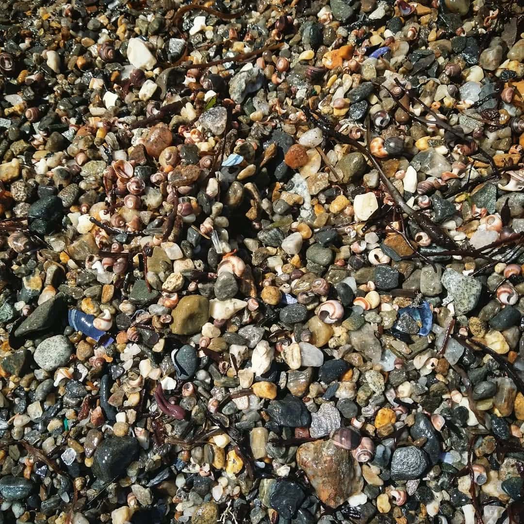 Where to Hunt for Sea Glass Along the Maine Coast | The guide nobody wants us to print 4 Lands End | Bailey Island