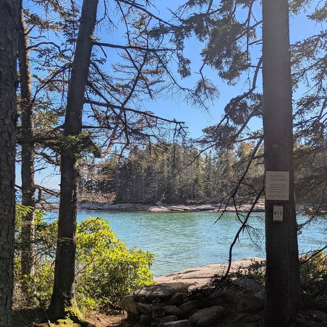 Skip the crowds and explore these 15 amazing maine hidden beaches 2 Barred Island Preserve