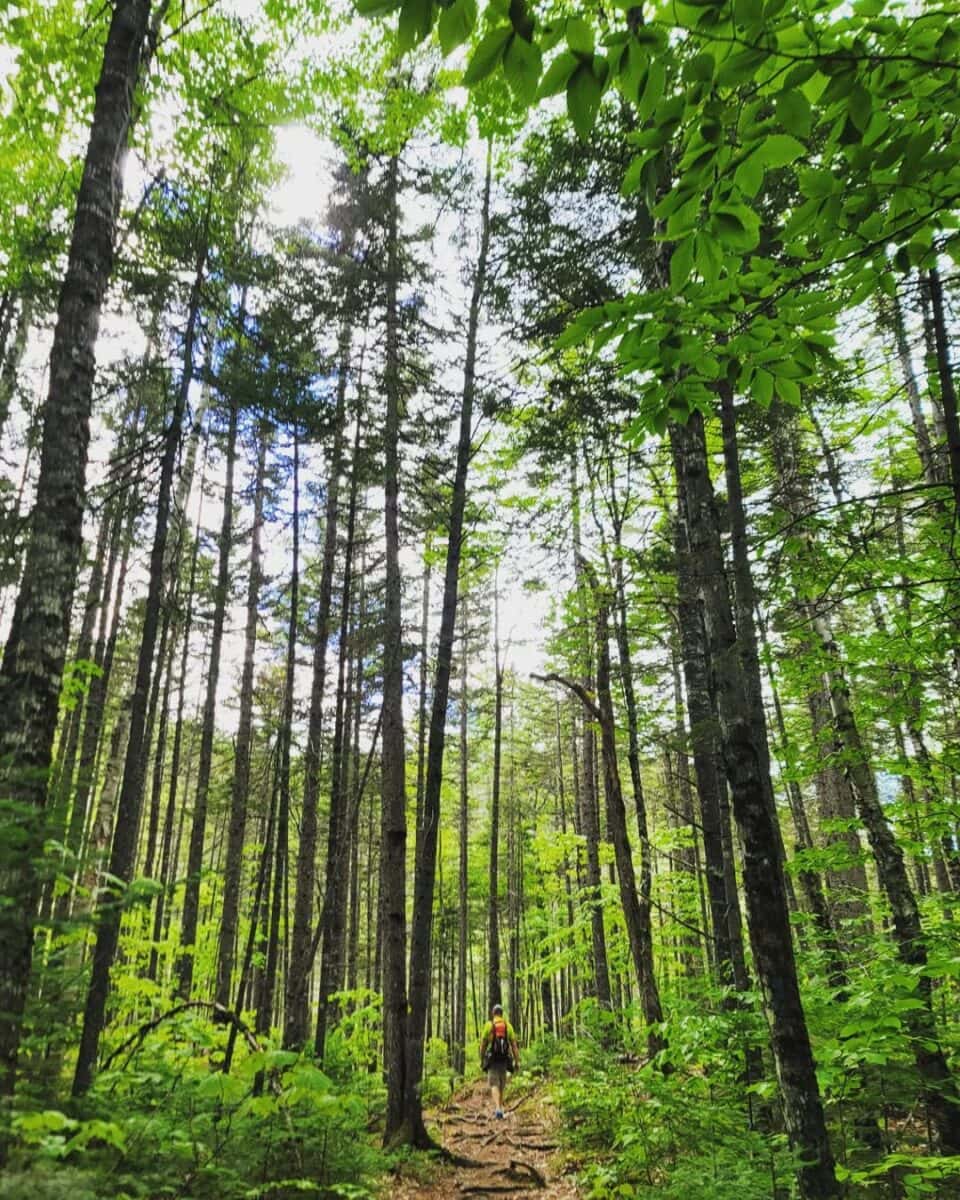 Add 11 of the Most Beautiful Places in Maine to Your Bucket List 4 Gulf Hagas