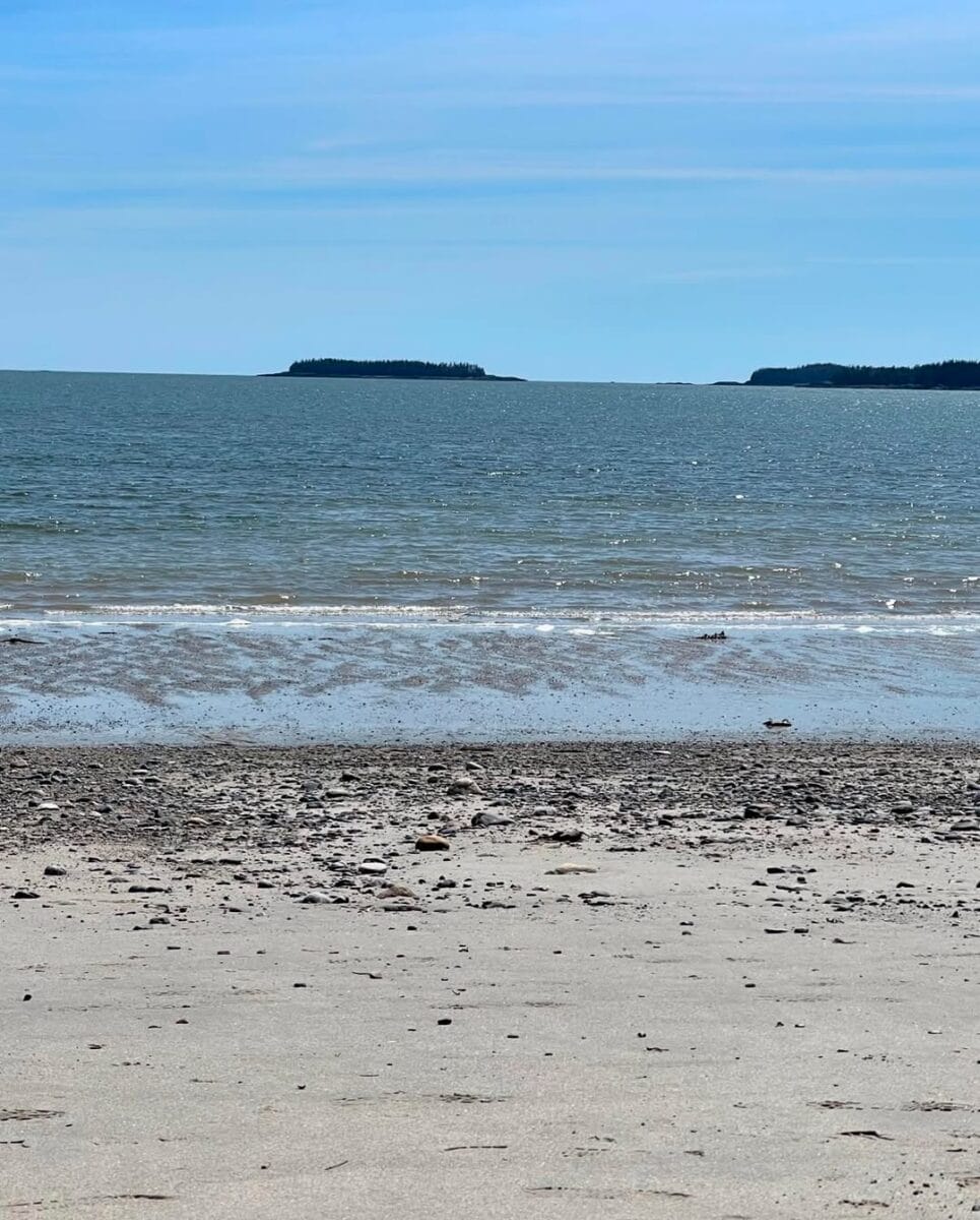 Skip the crowds and explore these 15 amazing maine hidden beaches 10 Roque Bluffs Beach