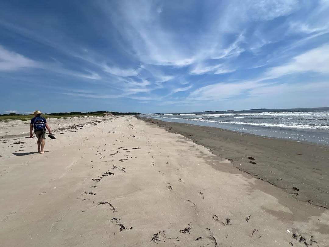 Skip the crowds and explore these 15 amazing maine hidden beaches 9 Seawall Beach