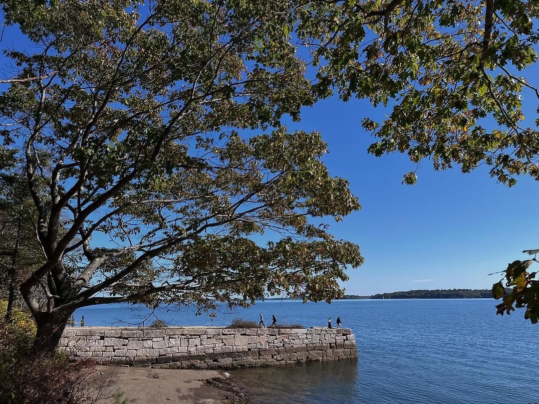 Come for Acadia, Stay for Maine’s Incredible State Parks 19 Mackworth Island State Park