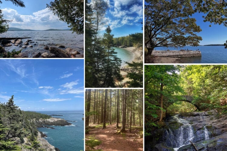 Come for Acadia, Stay for Maine’s Incredible State Parks