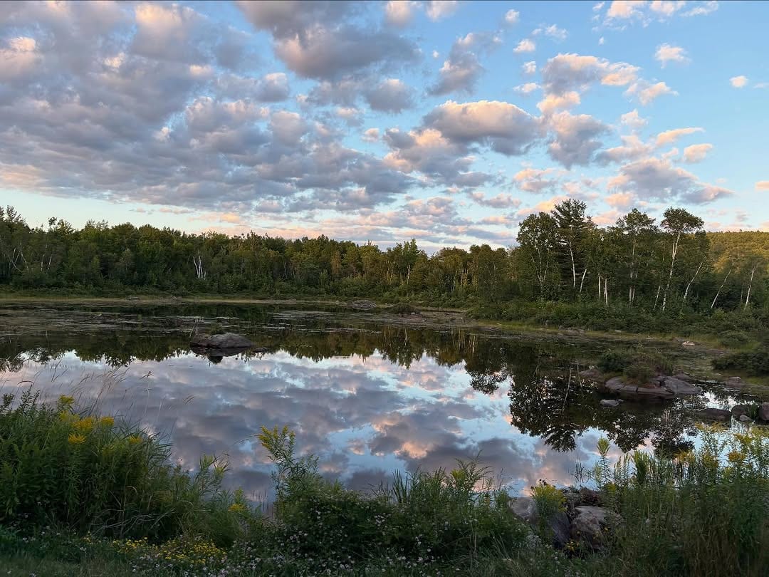 Are You Bold Enough? A Scenic Weekend road trip Beyond Acadia 11 Moosehorn National Wildlife Refuge