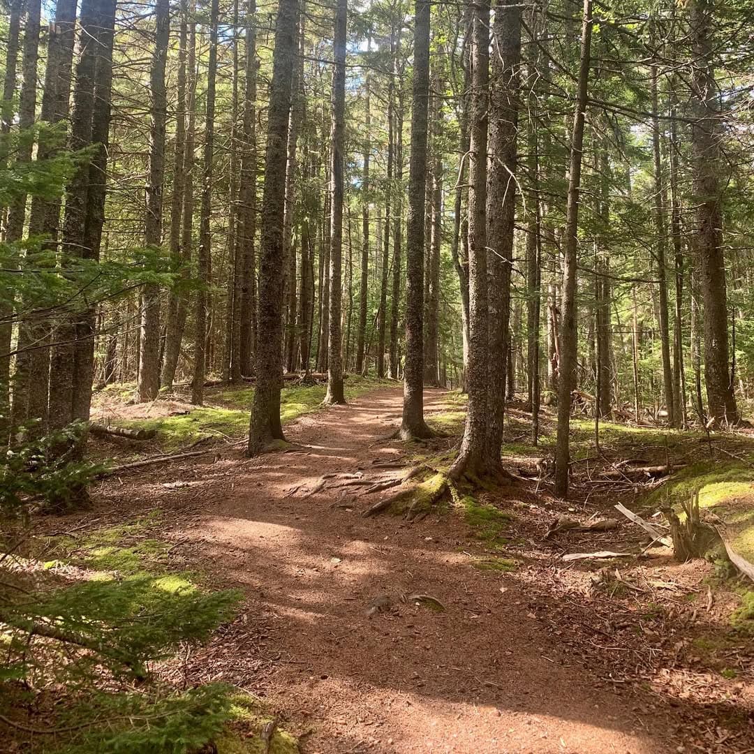Come for Acadia, Stay for Maine’s Incredible State Parks 10 Shackford Head State Park